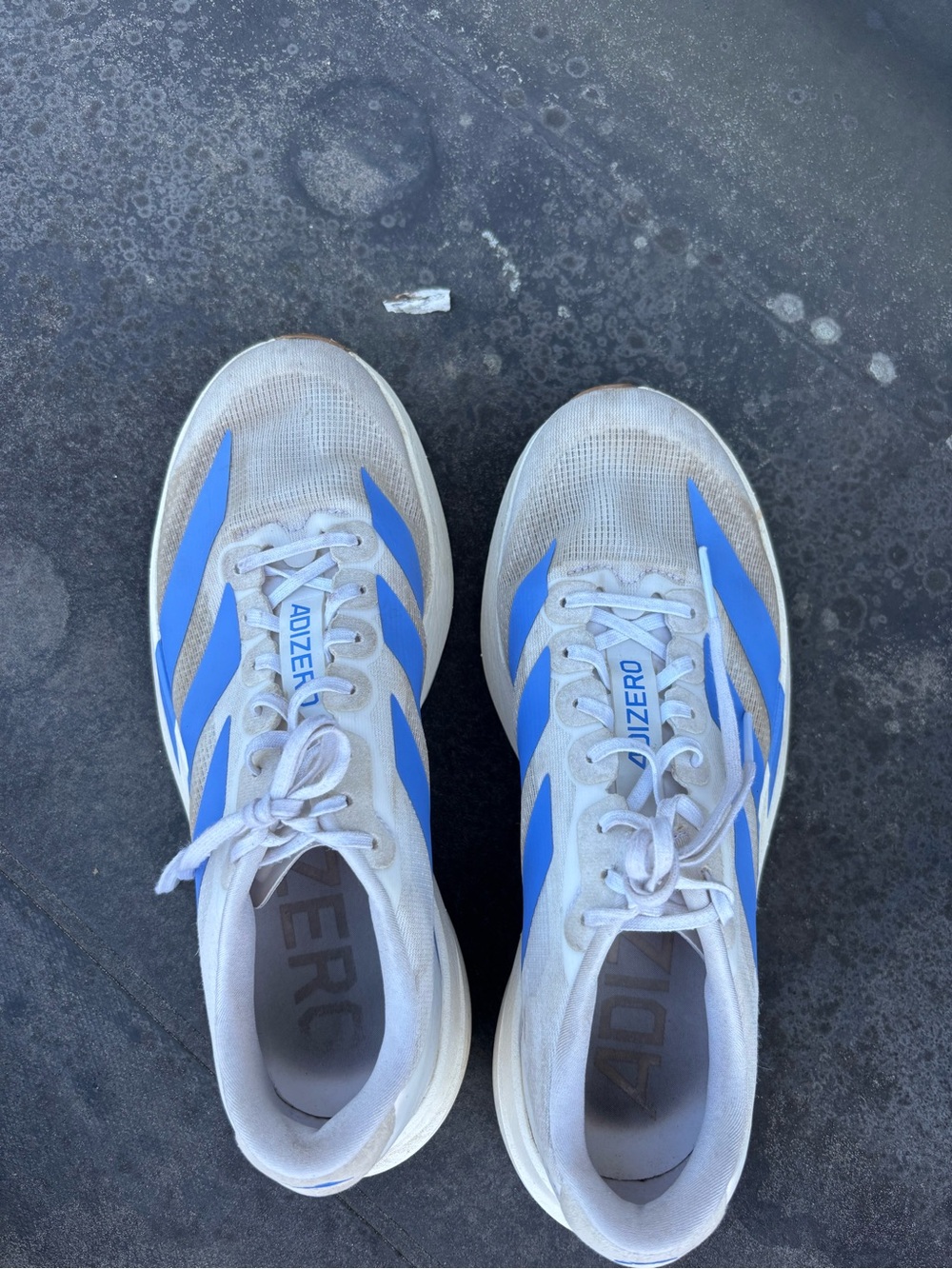 Women's Running Shoes - White with Blue Accents